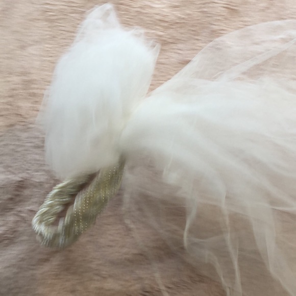 Veil - Picture 4 of 5